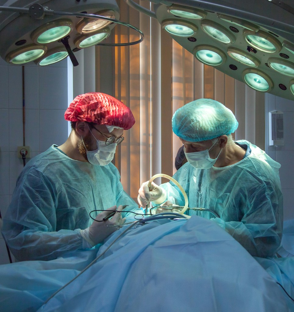 Quiz : noms des sp&eacute;cialit&eacute;s m&eacute;dicales 👩&zwj;⚕️