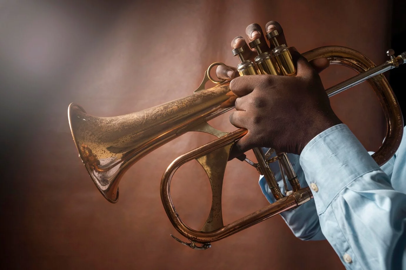 Les plus grandes l&eacute;gendes du jazz