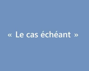 &laquo;  Le cas &eacute;ch&eacute;ant  &raquo;