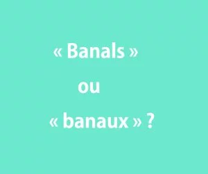 &laquo; Banals &raquo; ou &laquo; banaux &raquo;