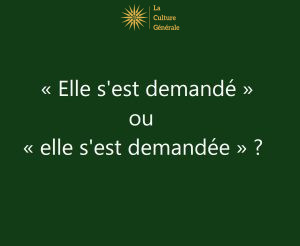 Elle s'est demand&eacute; ou demand&eacute;e