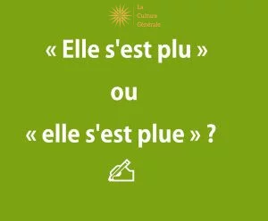 &laquo; Elle s'est plu &raquo; ou &laquo; elle s'est plue &raquo;