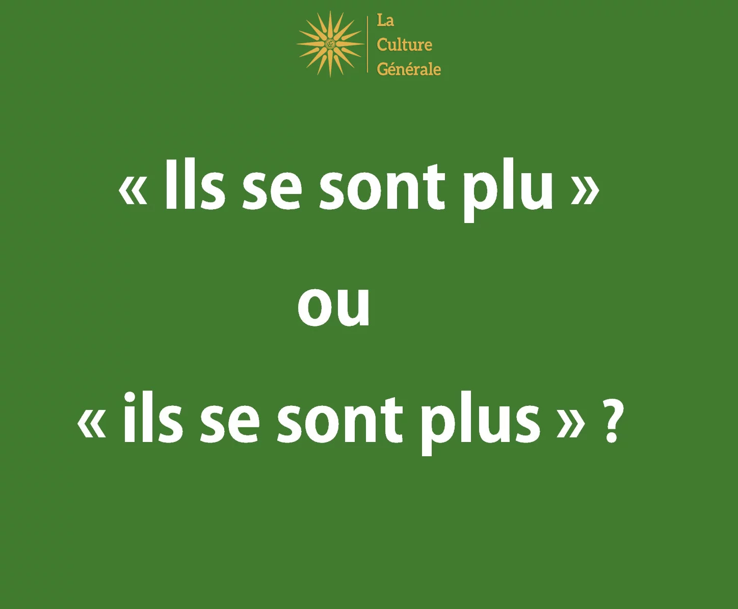&laquo; Ils se sont plu &raquo; ou &laquo; ils se sont plus &raquo; ? R&egrave;gle d&rsquo;accord ✍️