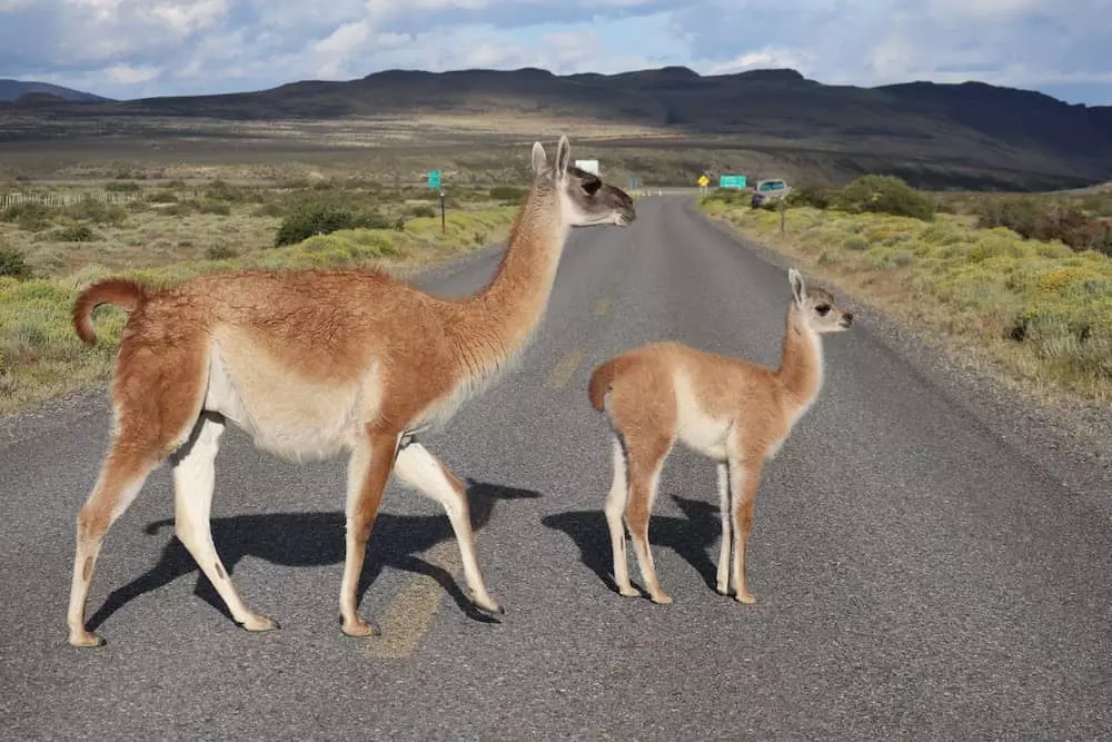 Illustration de la question 24