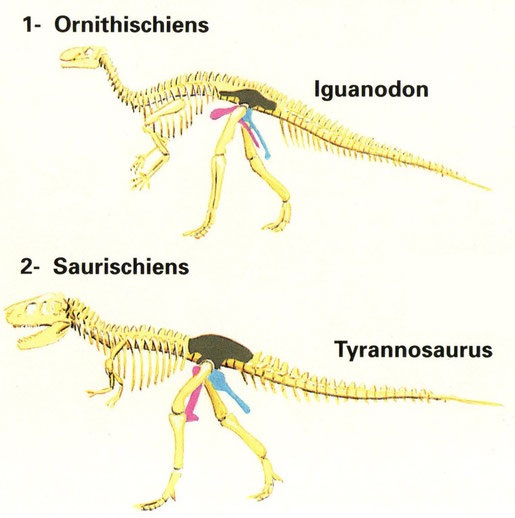 Illustration de la question 8