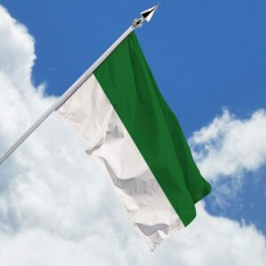 Drapeau vert et blanc