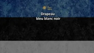 drapeau bleu blanc noir