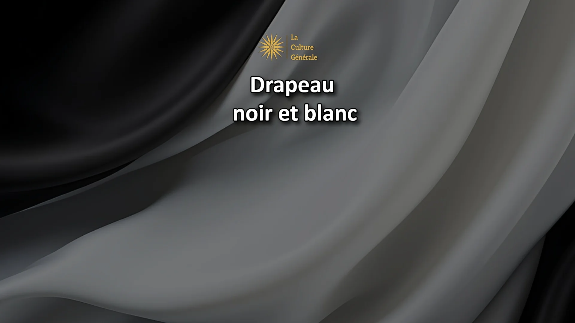 Drapeau noir et blanc : liste complète des entités qui les arborent