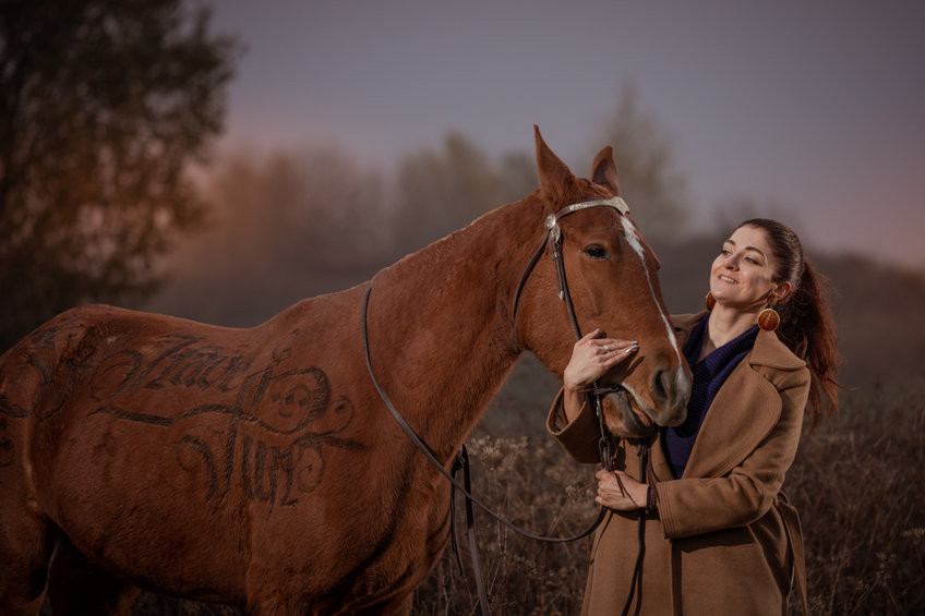 Comment les chevaux communiquent-ils avec les hommes&thinsp;?