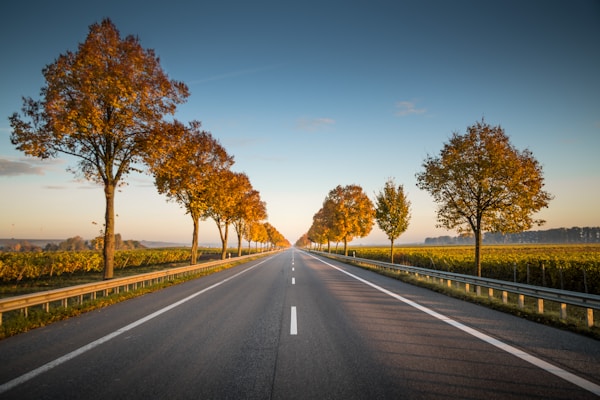 bonne route