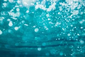 Aquaticit&eacute;